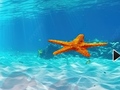 Žaidimas Escape From Underwater Starfish