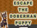 Žaidimas Escape The Doberman Puppy