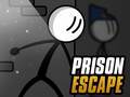 Žaidimas Prison Escape Online
