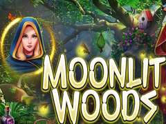 Žaidimas Moonlit Woods