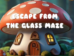 Žaidimas Escape from the Glass Maze