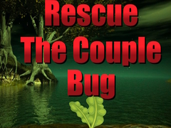 Žaidimas Rescue The Couple Bug