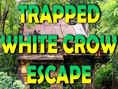 Žaidimas Trapped White Crow Escape