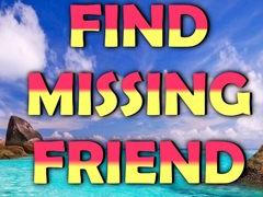 Žaidimas Find Missing Friend