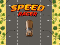 Žaidimas Speed Racer