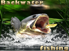 Žaidimas Backwater Fishing