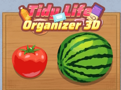 Žaidimas Tidy Life Organizer 3D