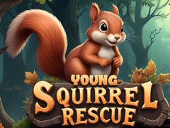 Žaidimas Young Squirrel Rescue