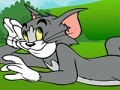 Žaidimas Tom and Jerry ATV Adventure