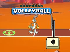 Žaidimas Looney Tunes Cartoons Volleyball