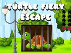 Žaidimas Turtle Fiery Escape