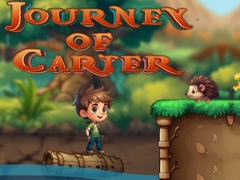 Žaidimas Journey Of Carter