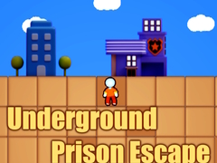 Žaidimas Underground Prison Escape