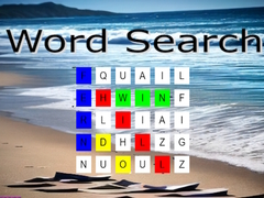 Žaidimas Word Search