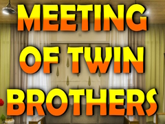 Žaidimas Wow Meeting of Twin Brothers