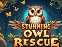 Žaidimas Stunning Owl Rescue