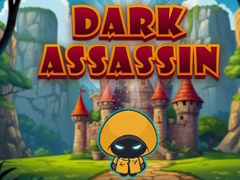 Žaidimas Dark Assassin