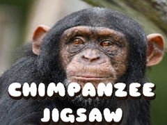 Žaidimas Chimpanzee Jigsaw