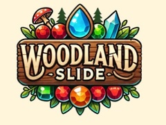 Žaidimas Woodland Slide