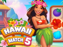 Žaidimas Hawaii Match 5