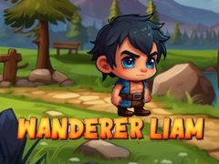 Žaidimas Wanderer Liam