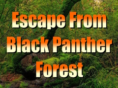 Žaidimas Escape from Black Panther Forest