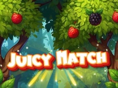 Žaidimas Juicy Match