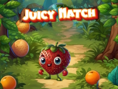 Žaidimas Juicy Match