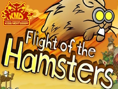 Žaidimas Codename Kids Next Door Flight of the Hamsters