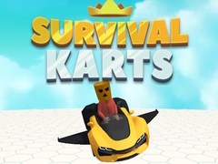 Žaidimas Survival Karts