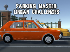 Žaidimas Parking Master Urban Challenges