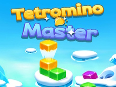 Žaidimas Tetromino Master