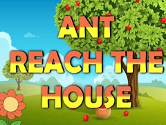 Žaidimas Ant Reach the House