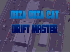 Žaidimas Oiia Oiia Cat Drift Master