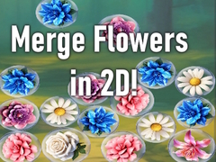 Žaidimas Merge Flowers in 2D!