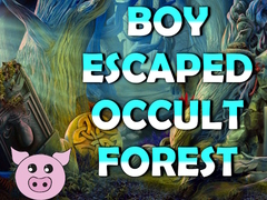 Žaidimas Boy Escaped Occult Forest