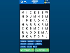 Žaidimas Word Search