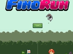 Žaidimas Fino Run