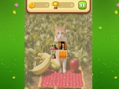 Žaidimas Farm Cat Memory Match
