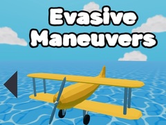 Žaidimas Evasive Maneuvers