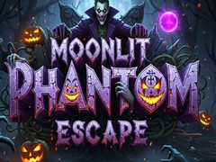 Žaidimas Moonlit Phantom Escape