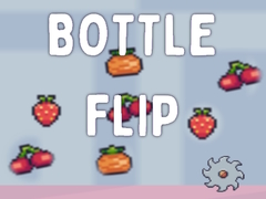 Žaidimas Bottle Flip