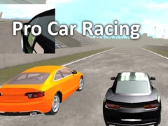 Žaidimas Pro Car Racing
