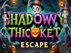 Žaidimas Shadowy Thicket Escape
