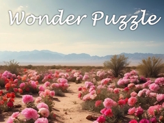 Žaidimas Wonder Puzzle