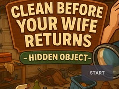 Žaidimas Clean Before Your Wife Returns Hidden Object
