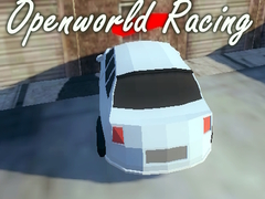 Žaidimas Openworld Racing