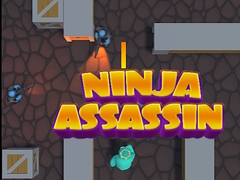 Žaidimas Ninja Assassin