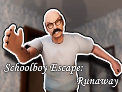 Žaidimas Schoolboy Escape: Runaway