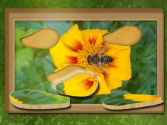 Žaidimas Find & Restore: Hidden Puzzle